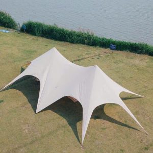 Tăng Hoa Sen 2 Đỉnh Chính Hãng Little Donkeys | Leudangoai.com